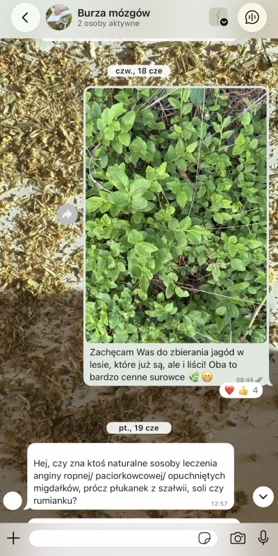 grupa zielarska 2